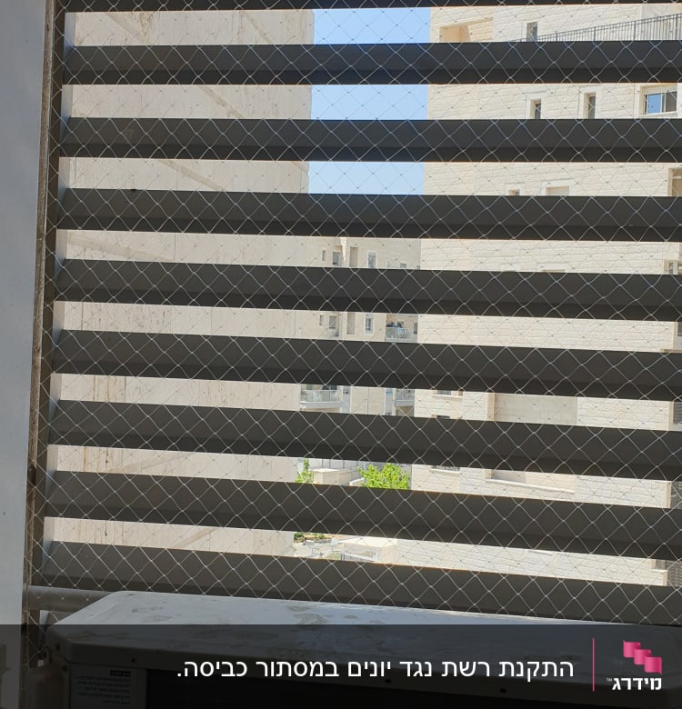 רשת מתכת על חלון למניעת כניסת יונים